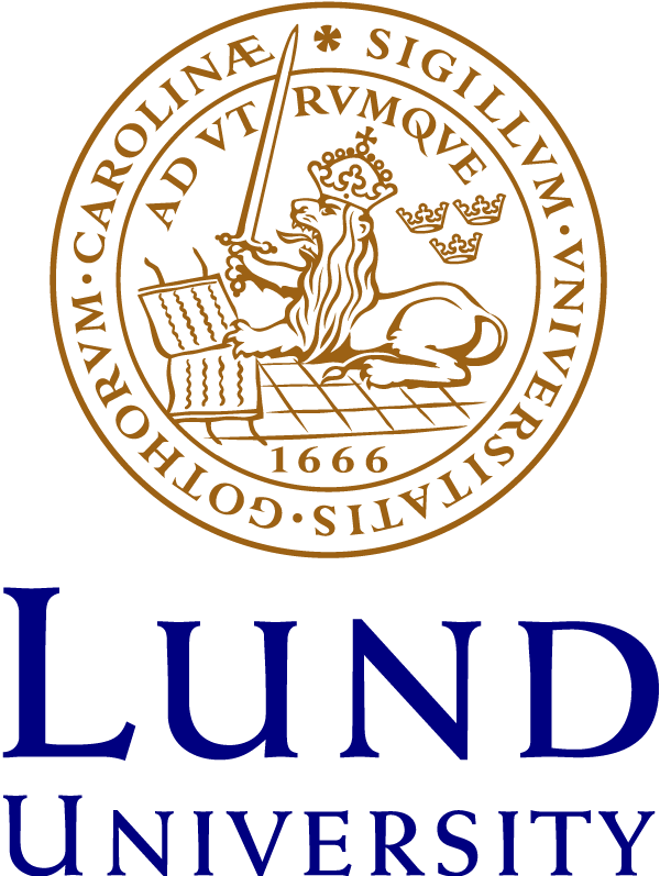 Yiddish Grammar in Focus Centre for Languages and Literature