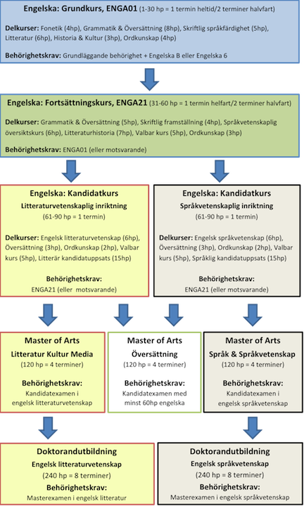 Bild över utbildningsstrukturen