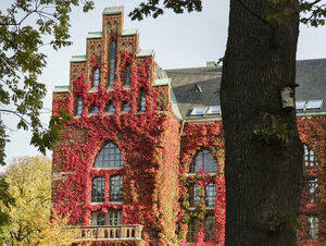 University library