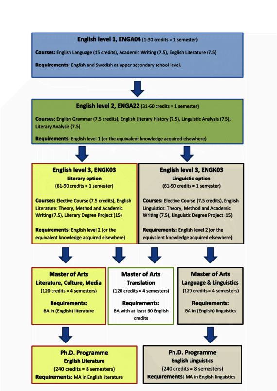 Picture of education structure